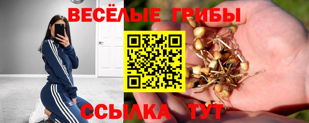 Чехов  Галлюциногенные грибы Magic Shrooms  Вход с VPN  Псилоцибиновые грибы ЛСД 
